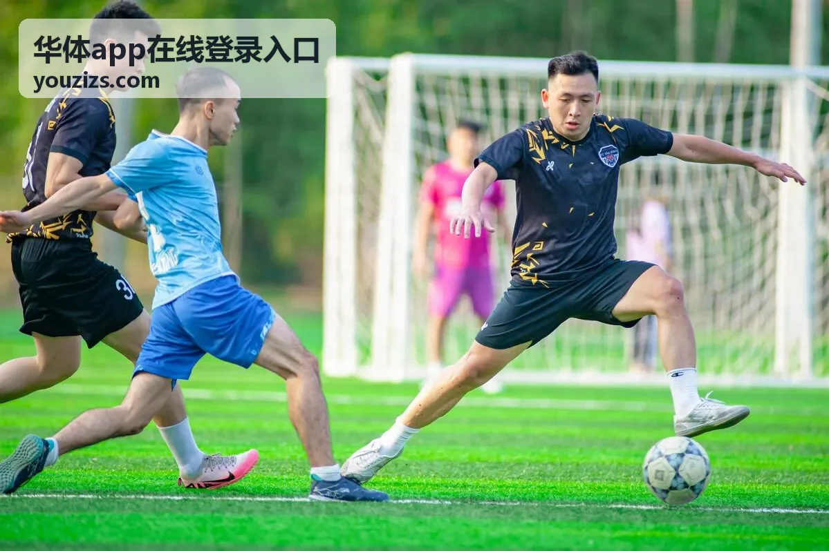 华体app在线登录入口登录后页面检查示意