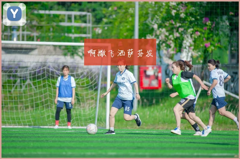 辽篮总决赛时间敲定 首战对决引发冠军归属看点