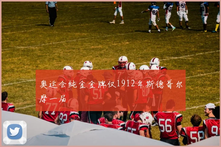 奥运会纯金金牌仅1912年斯德哥尔摩一届
